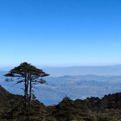 72. 对谈Bella：大厂十年提前退休，这是一场必须展开的自我解放