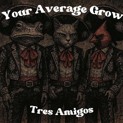 Tres Amigos