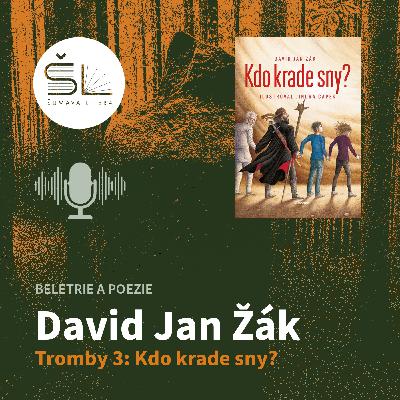 „Tromby 3: Kdo krade sny?“ – David Jan Žák