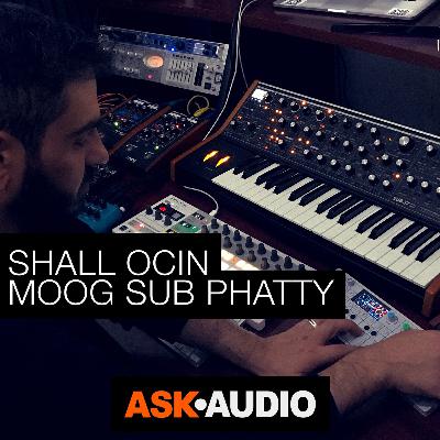 Synth Stories 14: Shall Ocin & Moog Sub Phatty Synth Stories 14: Shall Ocin & Moog Sub Phatty