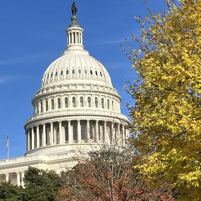 Some American People - XXXI - Washington, D.C., National Mall