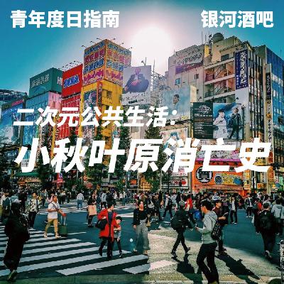 青年度日指南X银河酒吧｜二次元城市公共生活，小秋叶原消亡史！