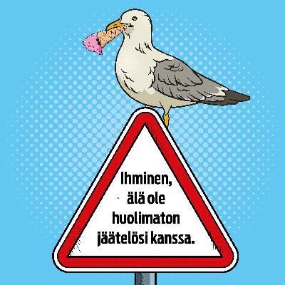 Miten lokin vatsa kestää jäätelöä, kebabia ja ranskalaisia, lintuasiantuntija Heikki Lokki? Miten lokin vatsa kestää jäätelöä, kebabia ja ranskalaisia, lintuasiantuntija Heikki Lokki?
