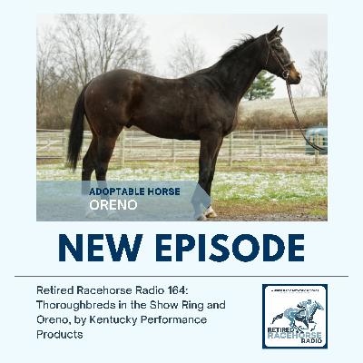 Thoroughbreds in the Show Ring and Oreno by Kentucky Performance Products Thoroughbreds in the Show Ring and Oreno by Kentucky Performance Products