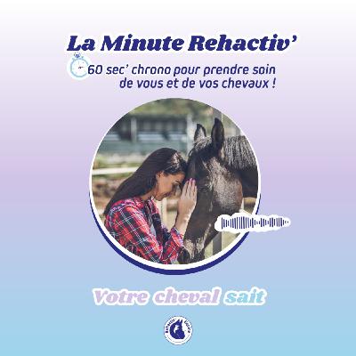 L'impact de vos émotions sur votre cheval