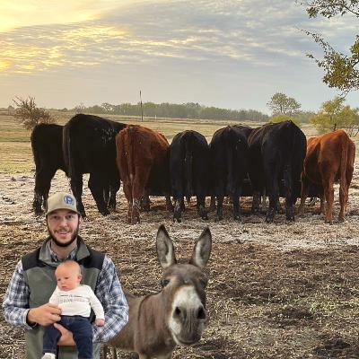 I pull my baler with my pick-up truck | Caleb from Texas, USA