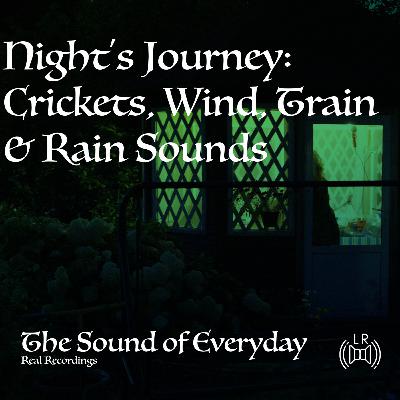 Night's Journey: Crickets, Wind, Train & Rain Sounds - Relaxing Nature Sound