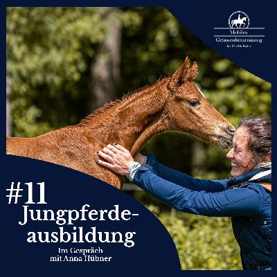 #11 Jungpferdeausbildung - mit Anna Hübner von Feinesreiten