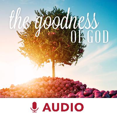 Pt. 1 - No Darkness At All