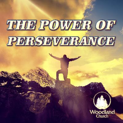 THE POWER OF PERSEVERANCE