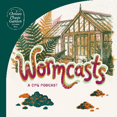 Introducing: Wormcasts, from the Chelsea Physic Garden