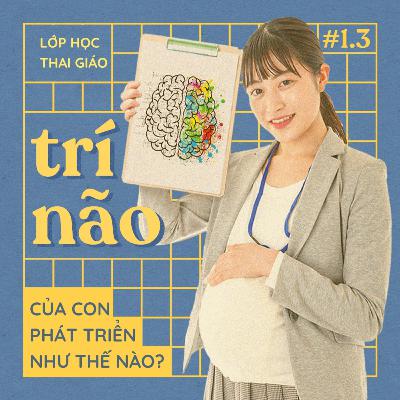 1.3 - Tìm hiểu về sự phát triển trí não của bé từ khi còn trong bụng mẹ