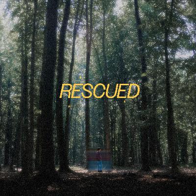 Rescued - Week 4