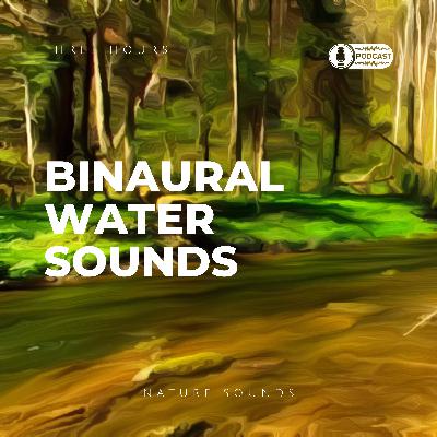 The Peaceful Gurgling Stream (3 hours Binaural Water Sounds)