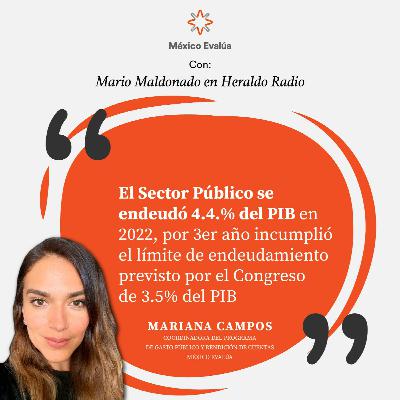 El Sector Público se endeudó 4.4.% del PIB en 2022 El Sector Público se endeudó 4.4.% del PIB en 2022