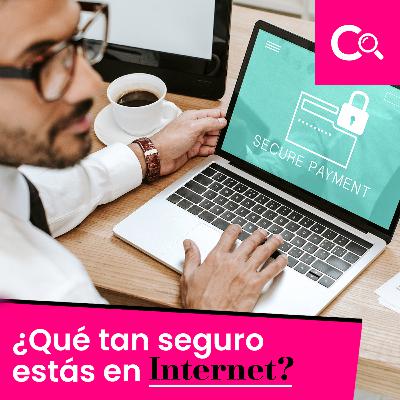 4. ¿Qué tan seguro estás en Internet?