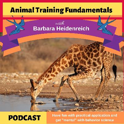 36 This is Uncomfortable..... 36 This is Uncomfortable.....