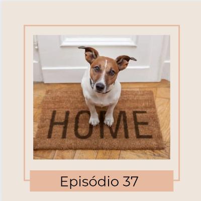 Qual a melhor raça para apartamento?