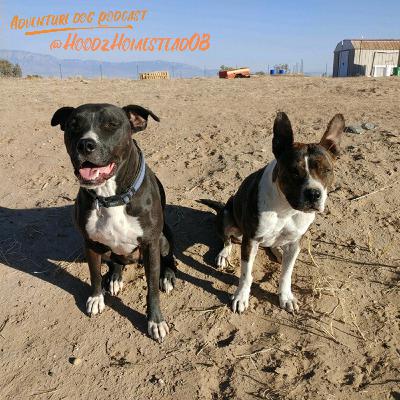 O&B & Keylo Ogunda, Queen Yansa, & Vivian Soohki @Hood2HomesteadOB