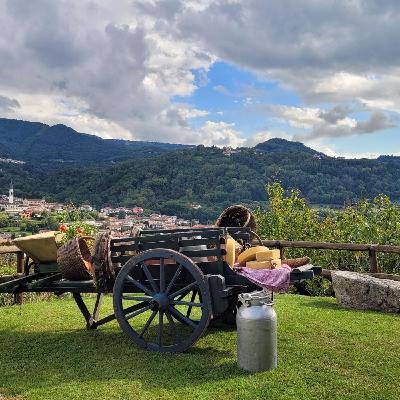 Domani il Festival Bianco: il latte come racconto di comunità e tradizione