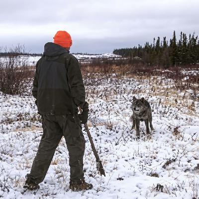 S05E09 Flashback: Bad Wolf S05E09 Flashback: Bad Wolf