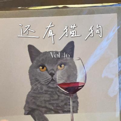 46 感谢生活里那些“我又可以了”的时刻！