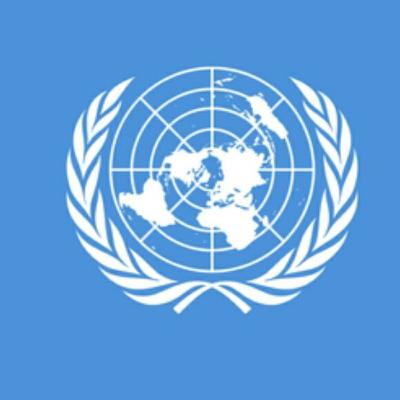 Organizaciones internacionales Organizaciones internacionales