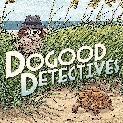 The Mysteries of the Tardy Tortoise & the Air Conditioning Catastrophe The Mysteries of the Tardy Tortoise & the Air Conditioning Catastrophe