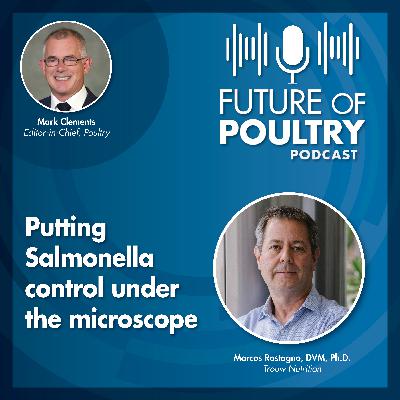 Putting Salmonella control under the microscope