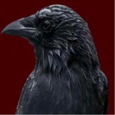 Si se konsa Ayiti pap janm chanje