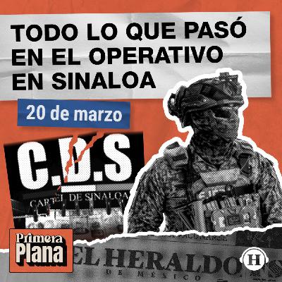 Operativo en Sinaloa deja 11 abatidos de “La Mayiza” Operativo en Sinaloa deja 11 abatidos de “La Mayiza”