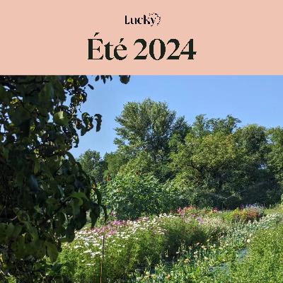 Ep 3 : ☀️L'été dans ma ferme florale - Récolte, irrigation et mariages