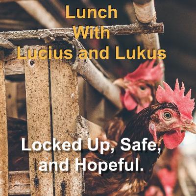 Humor, Insight, And A Bit Of Pandemic