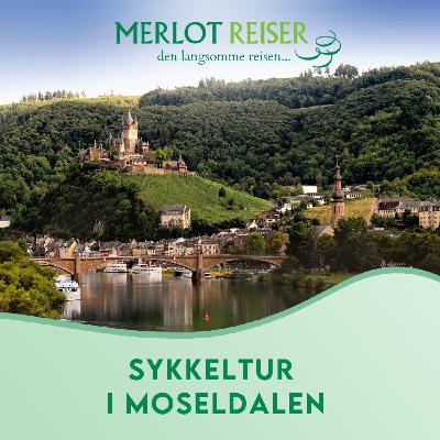 Sykkeltur i Moseldalen