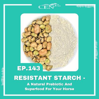 Ep. 143 | RESISTANT STARCH - A Natural Prebiotic And Superfood For Your Horse