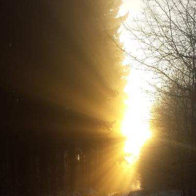 Der Sinn des Lebens---Podcast Folge #9