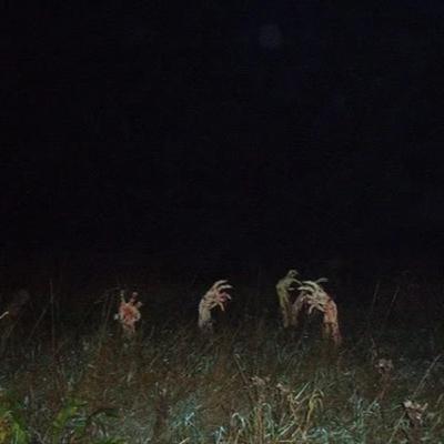 SCP-1673 Friendly Graveyard