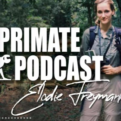 The Primate Podcast With Dr Elodie Freymann