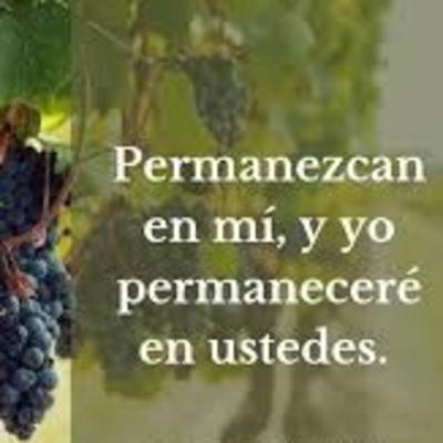 Permanecer en Jesús es la clave