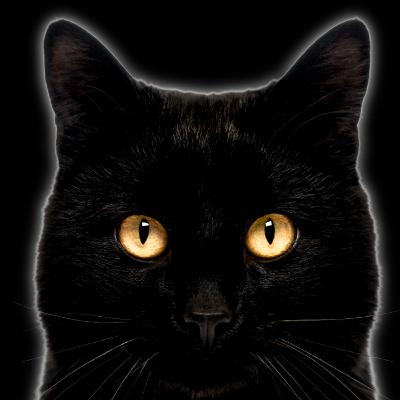 The Psychology Behind Religious Superstitions The Psychology Behind Religious Superstitions