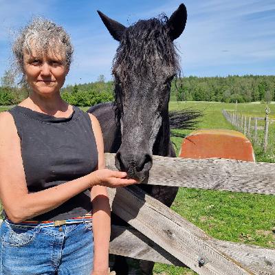 Allt dyrare med djursjukvård – kedjorna höjer priserna mest