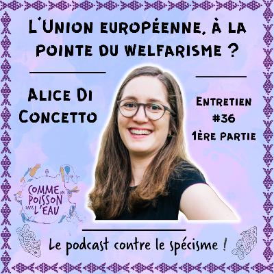 #36 L'Union européenne, à la pointe du welfarisme ? - Alice Di Concetto (1/2)