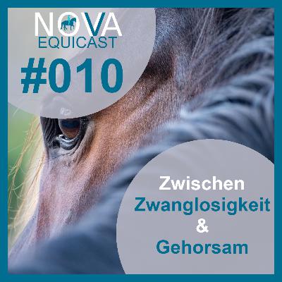 010 Zwischen Zwanglosigkeit und Gehorsam