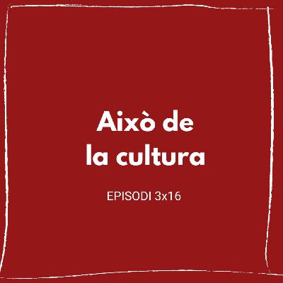 Això de la cultura (03x16) Això de la cultura (03x16)