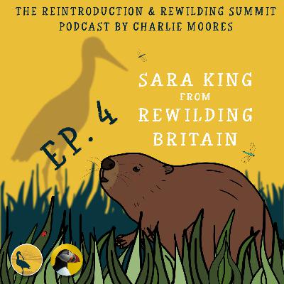 Episode 4: Rewilding Britain Episode 4: Rewilding Britain