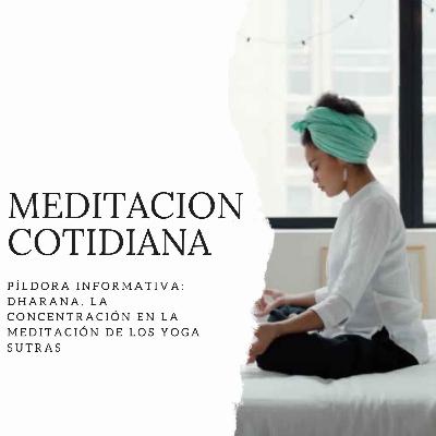 Píldora Informativa: Dharana, la concentración en la meditación de los Yoga Sutras