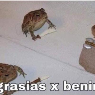 Gym and other things