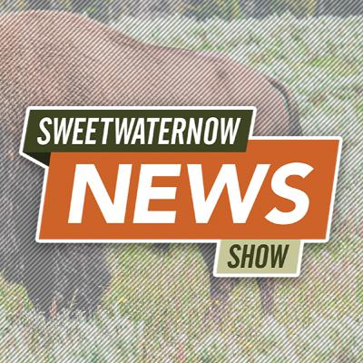 Woman Gored by Bison in Yellowstone Woman Gored by Bison in Yellowstone