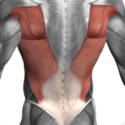 Dorso - Volume minimo