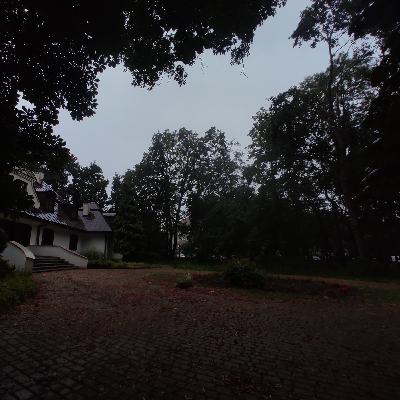 Spacer aleją ptaków